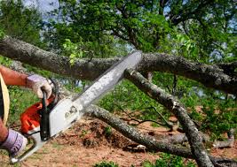 Lawn Irrigation Installation and Maintenance in Buckeye, AZ